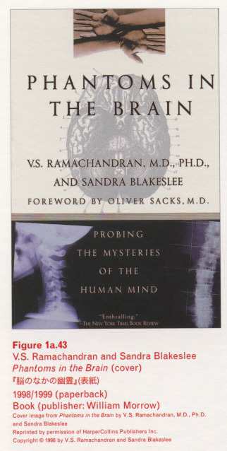 Caption left top: · Figure 1a.43 · V.S. Ramachandran and Sandra Blakeslee · Phantoms in the Brain (cover) · 199826ya/999 (paperback) · Book (publisher: William Morrow)