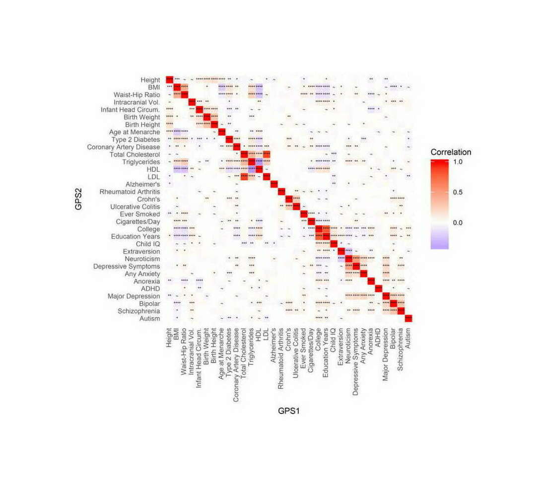 Docherty et al 2017: “Figure 3: Genetic Overlap and Co-Heritability of GPS in European Sample (EUR). Heatmap of partial correlation coefficients between GPS with prior proportion of causal effects = 0.3. Here, asterisks in the cells of the heatmap denote results of greater effect: ✱✱✱✱ = q-value < 0.0001, ✱✱✱ = q-value < 0.001, ✱✱ = q value < 0.01, ✱ = q value < 0.05, and ~ = suggestive significance at q value < 0.16. Blue values reflect a negative correlation, and red reflect positive correlation.”