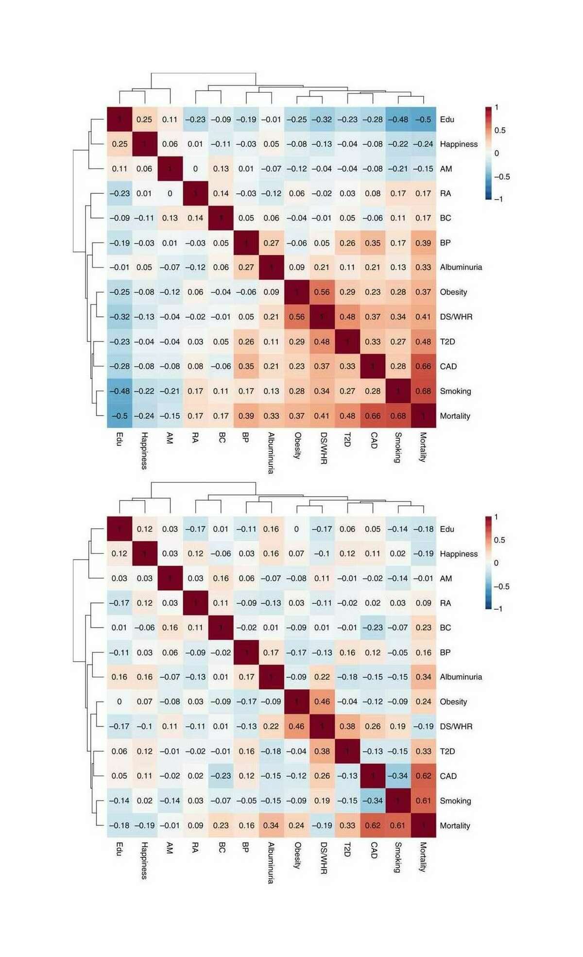 “Figure 5: Genetic correlations between trait clusters that associate with mortality. The upper panel shows whole genetic correlations, the lower panel, partial correlations. T2D, type 2 diabetes; BP, blood pressure; BC, breast cancer; CAD, coronary artery disease; Edu, educational attainment; RA, rheumatoid arthritis; AM, age at menarche; DL/WHR Dyslipidemia/Waist-Hip ratio; BP, blood pressure”