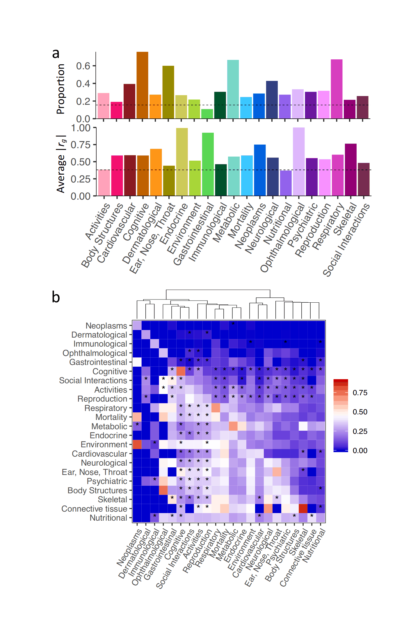 Watanabe et al 2018: “Fig. 2. Within and between domains genetic correlations. (a.) Proportion of trait pairs with significant rg (top) and average |_rg_| for significant trait pairs (bottom) within domains. Dashed lines represent the proportion of trait pairs with significant rg (top) and average |rg| for significant trait pairs (bottom) across all 558 traits, respectively. Connective tissue, muscular and infection domains are excluded as these each contains less than 3 traits. (b.) Heatmap of proportion of trait pairs with significant rg (upper right triangle) and average |rg| for significant trait pairs (lower left triangle) between domains. Connective tissue, muscular and infection domains are excluded as each contains less than 3 traits. The diagonal represents the proportion of trait pairs with significant rg within domains. Stars denote the pairs of domains in which the majority (>50%) of significant rg are negative.”