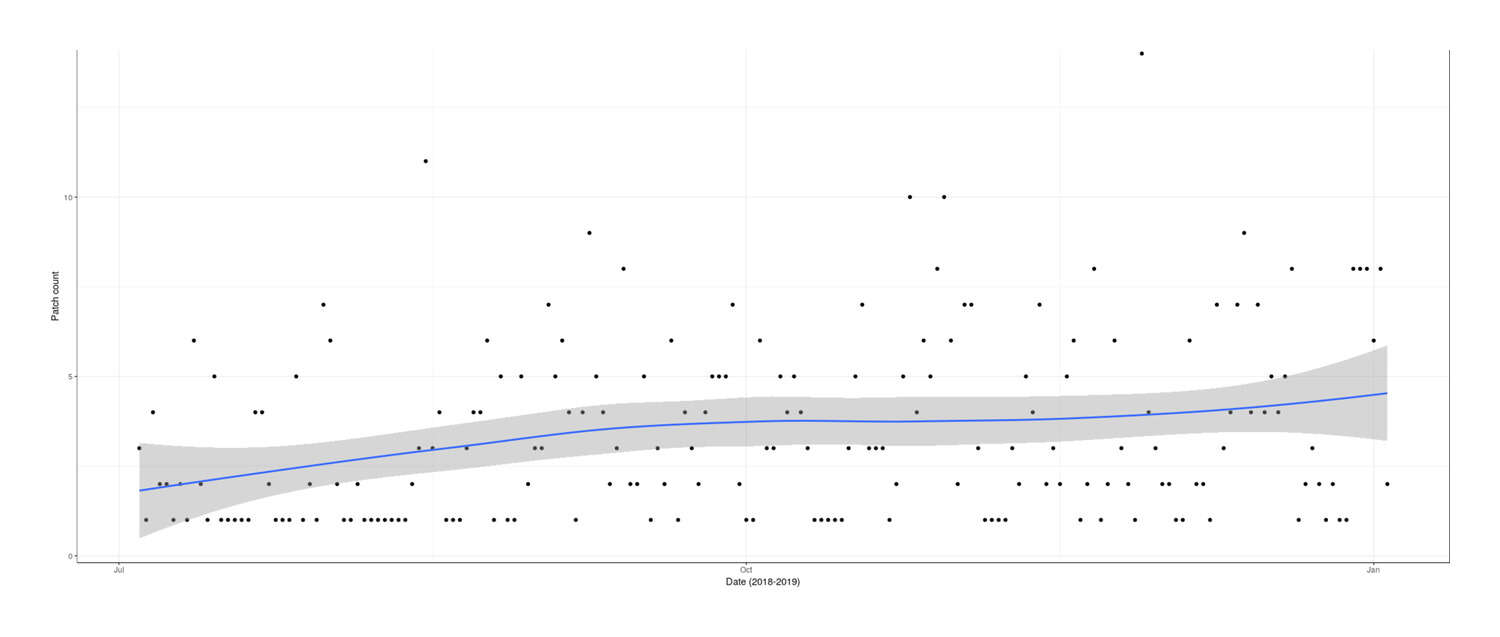 Plot of patch creations (y-axis) versus date (x-axis): July 2018–January 2019